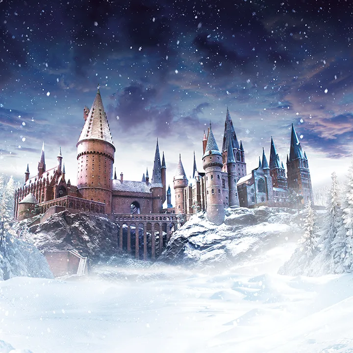 スタジオツアー東京 ハリー・ポッター 冬のホグワーツ